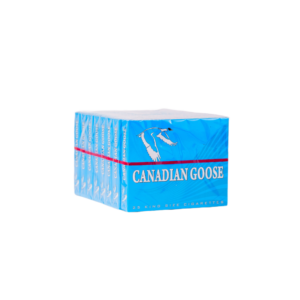 Canadian Goose Light