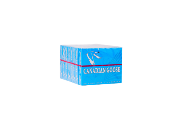 Canadian Goose Light