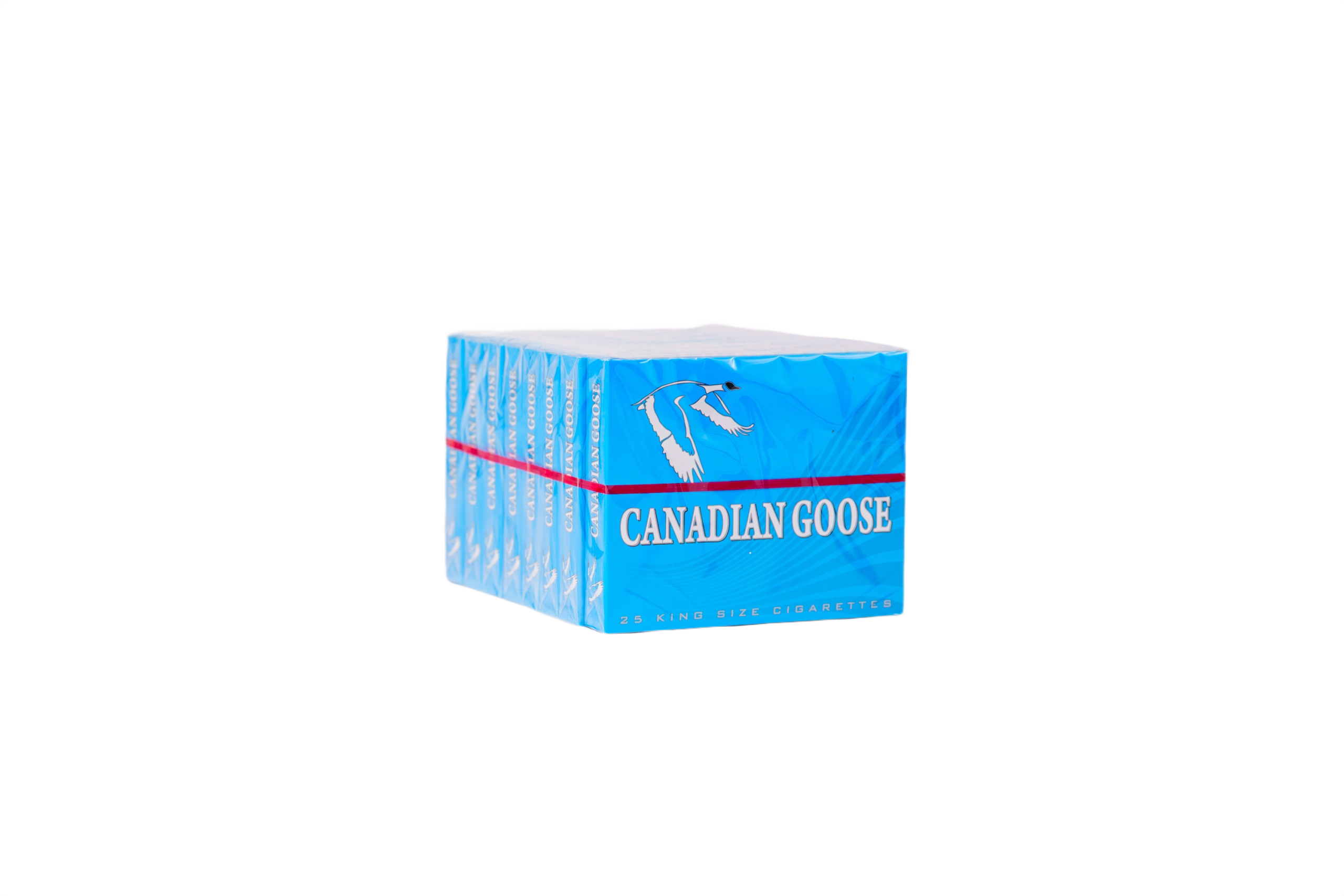 Canadian Goose Light