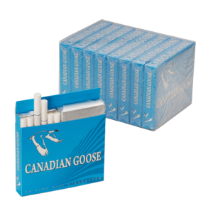 Canadian Goose Light
